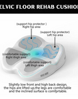 effective rehabilitation of the pelvic floor muscles